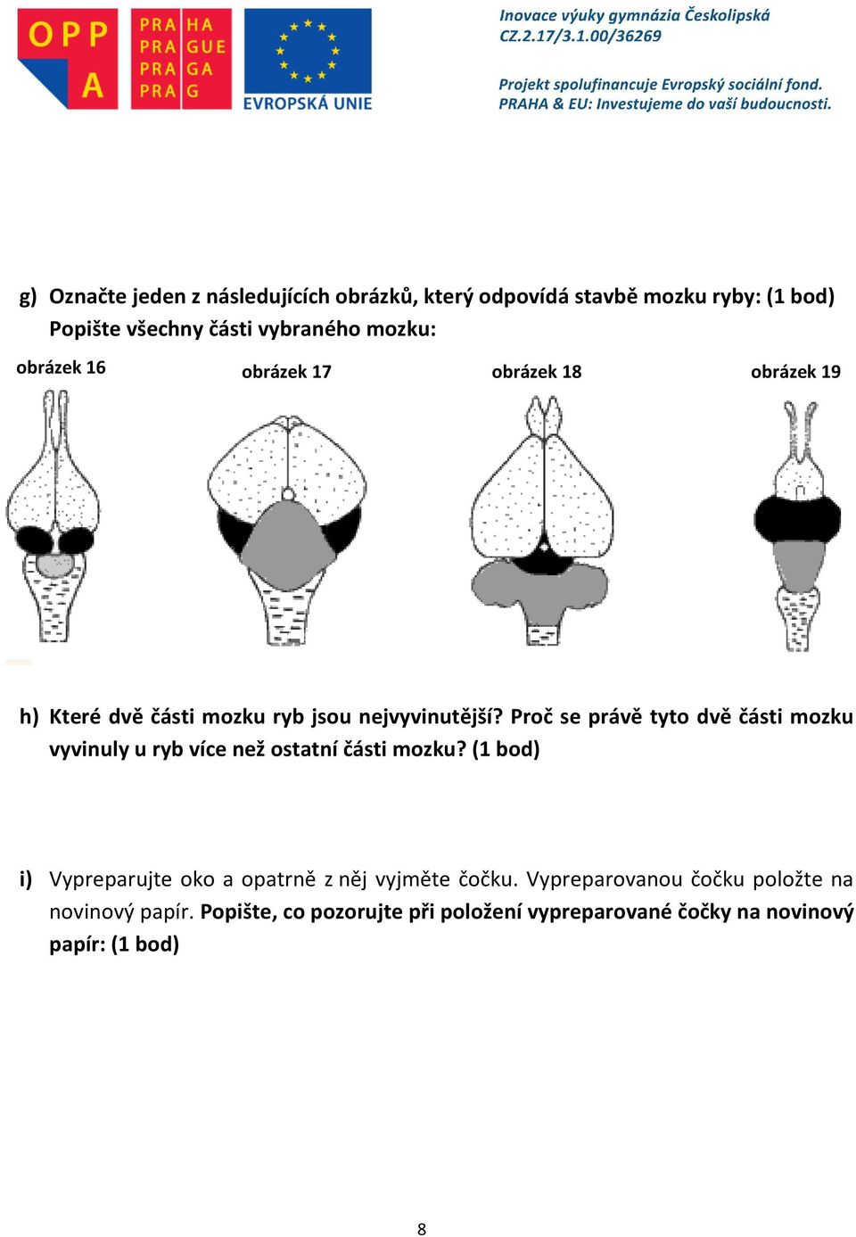 Proč se právě tyto dvě části mozku vyvinuly u ryb více než ostatní části mozku?