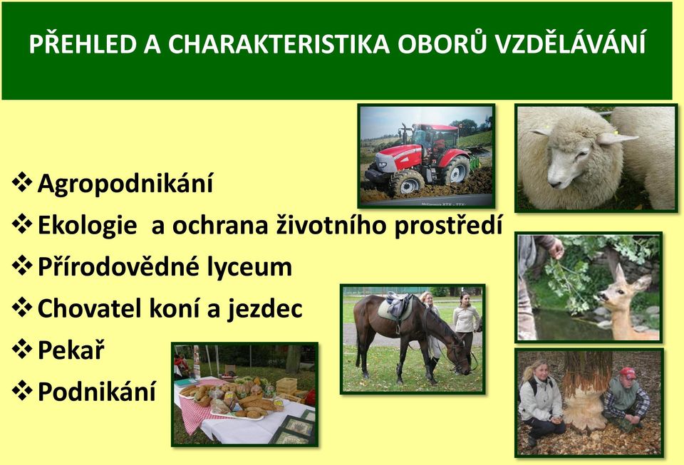 ochrana životního prostředí