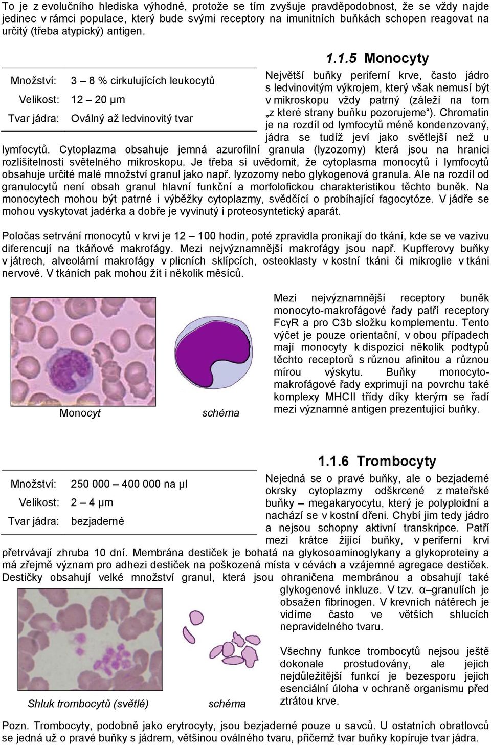 20 µm Oválný až ledvinovitý tvar 1.