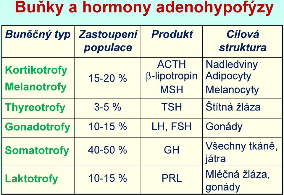 Adipocyty Melanocyty Thyreotrofy 3-5 % TSH Štítná žláza Gonadotrofy 10-15 % LH,