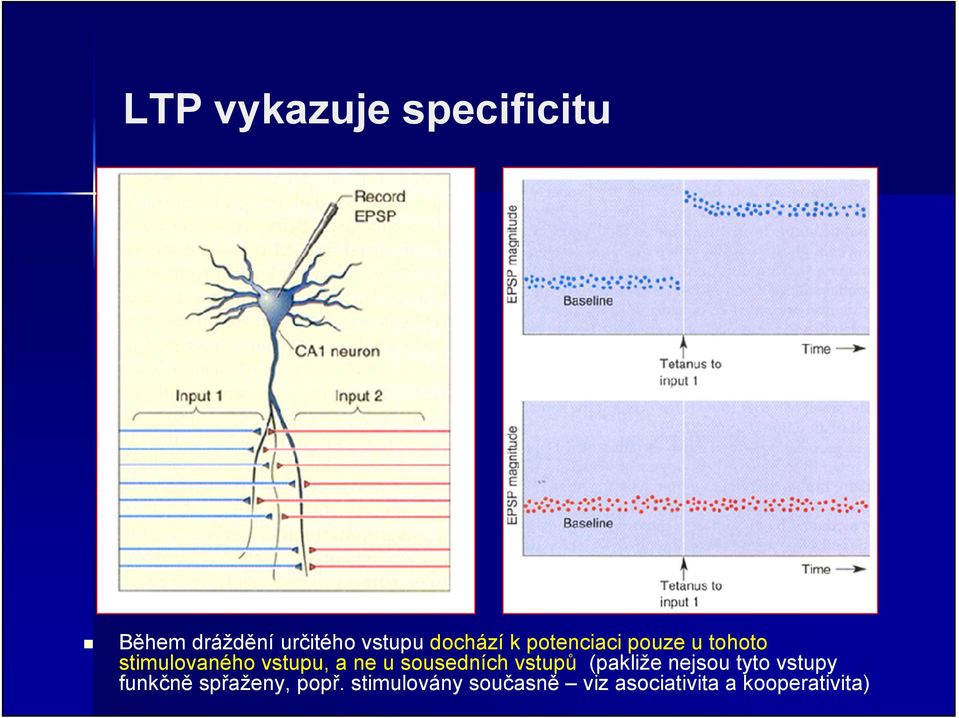 ne u sousedních vstupů (pakliže nejsou tyto vstupy funkčně