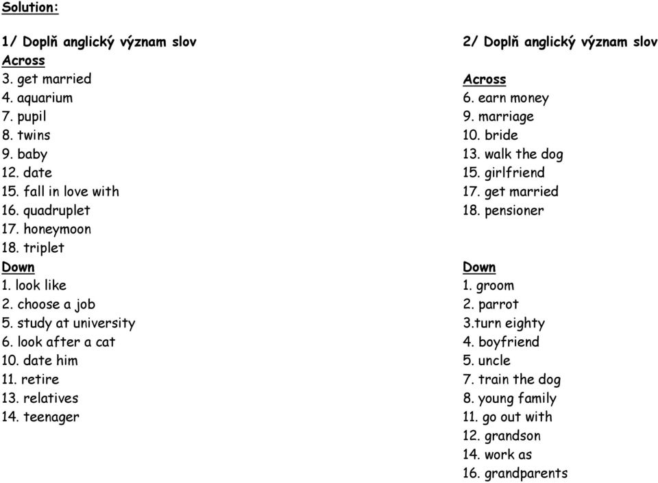 relatives 14. teenager 2/ Doplň anglický význam slov Across 6. earn money 9. marriage 10. bride 13. walk the dog 15. girlfriend 17. get married 18.