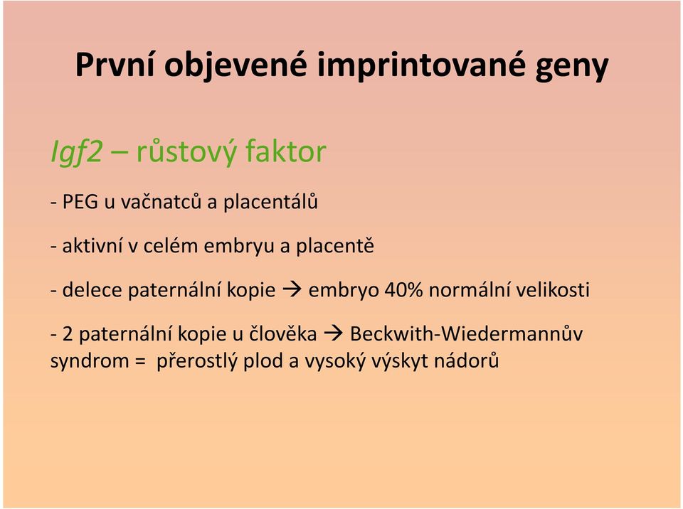 paternální kopie embryo 40% normální velikosti -2 paternální kopie