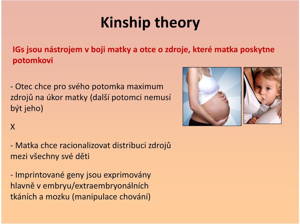 být jeho) X -Matka chce racionalizovat distribuci zdrojů mezi všechny své děti