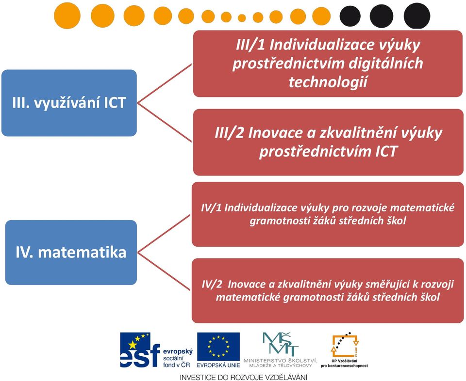 Individualizace výuky pro rozvoje matematické gramotnosti žáků středních škol IV.