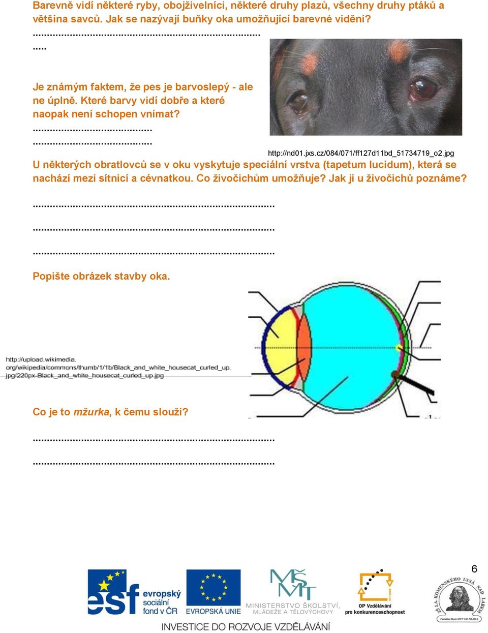 Které barvy vidí dobře a které naopak není schopen vnímat?...... http://nd01.jxs.cz/084/071/ff127d11bd_51734719_o2.