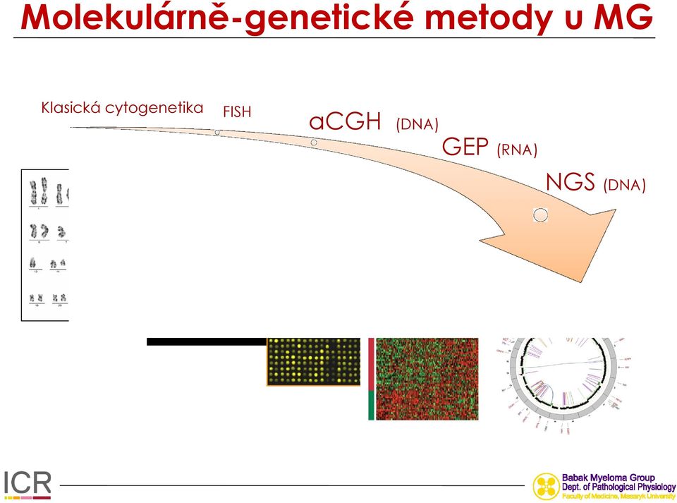 cytogenetika FISH acgh