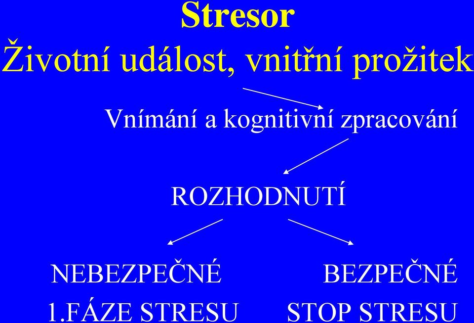 zpracování ROZHODNUTÍ NEBEZPEČNÉ