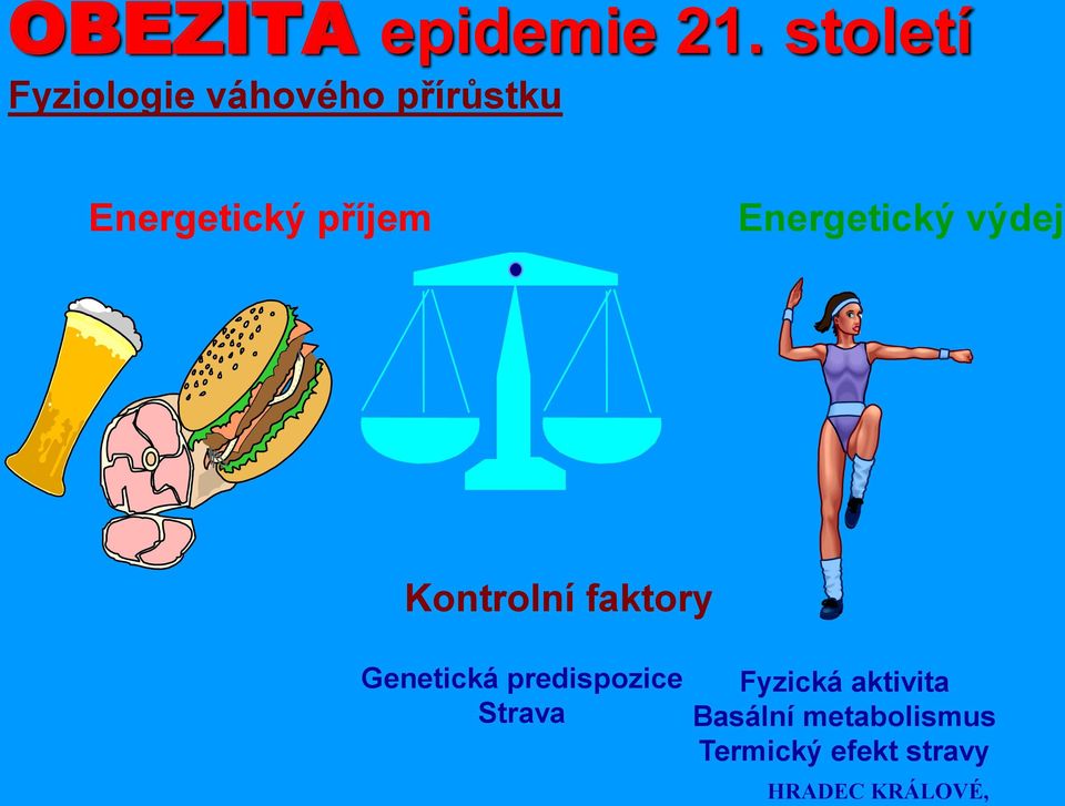 příjem Energetický výdej Kontrolní faktory