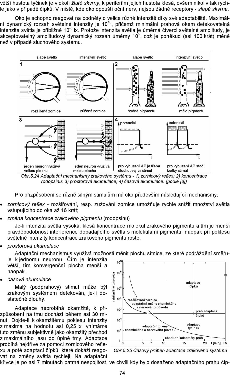 Maximální dynamický rozsah světelné intenzity je 10 10, přičemž minimální prahová okem detekovatelná intenzita světla je přibližně 10-5 lx.