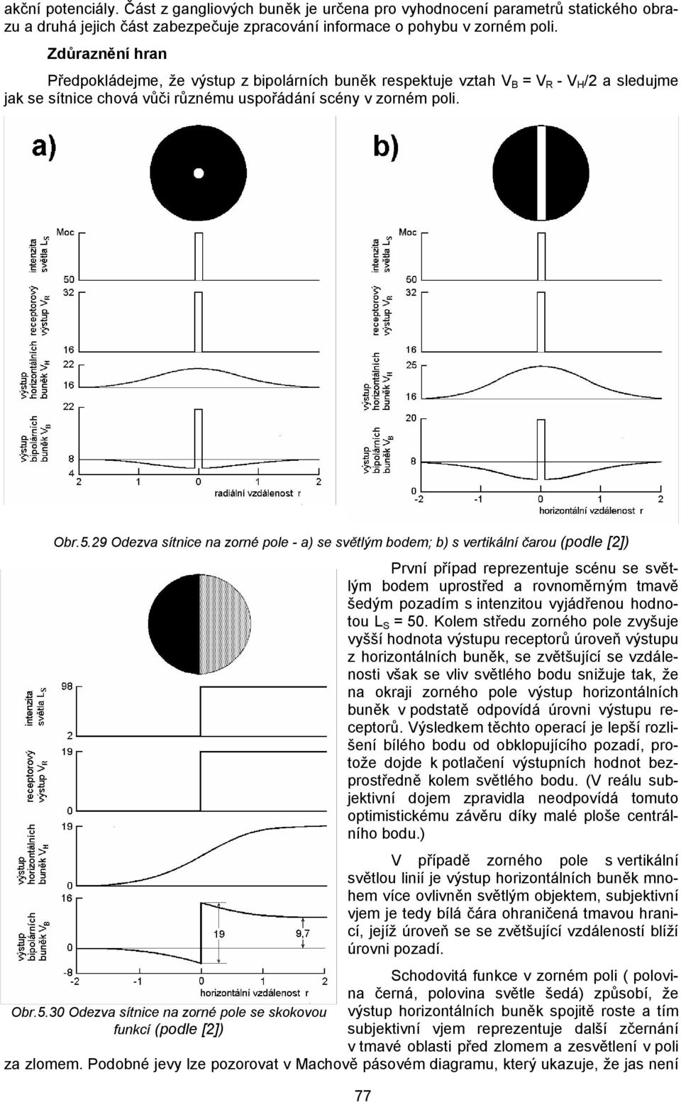 29 Odezva sítnice na zorné pole - a) se světlým bodem; b) s vertikální čarou (podle [2]) První případ reprezentuje scénu se světlým bodem uprostřed a rovnoměrným tmavě šedým pozadím s intenzitou