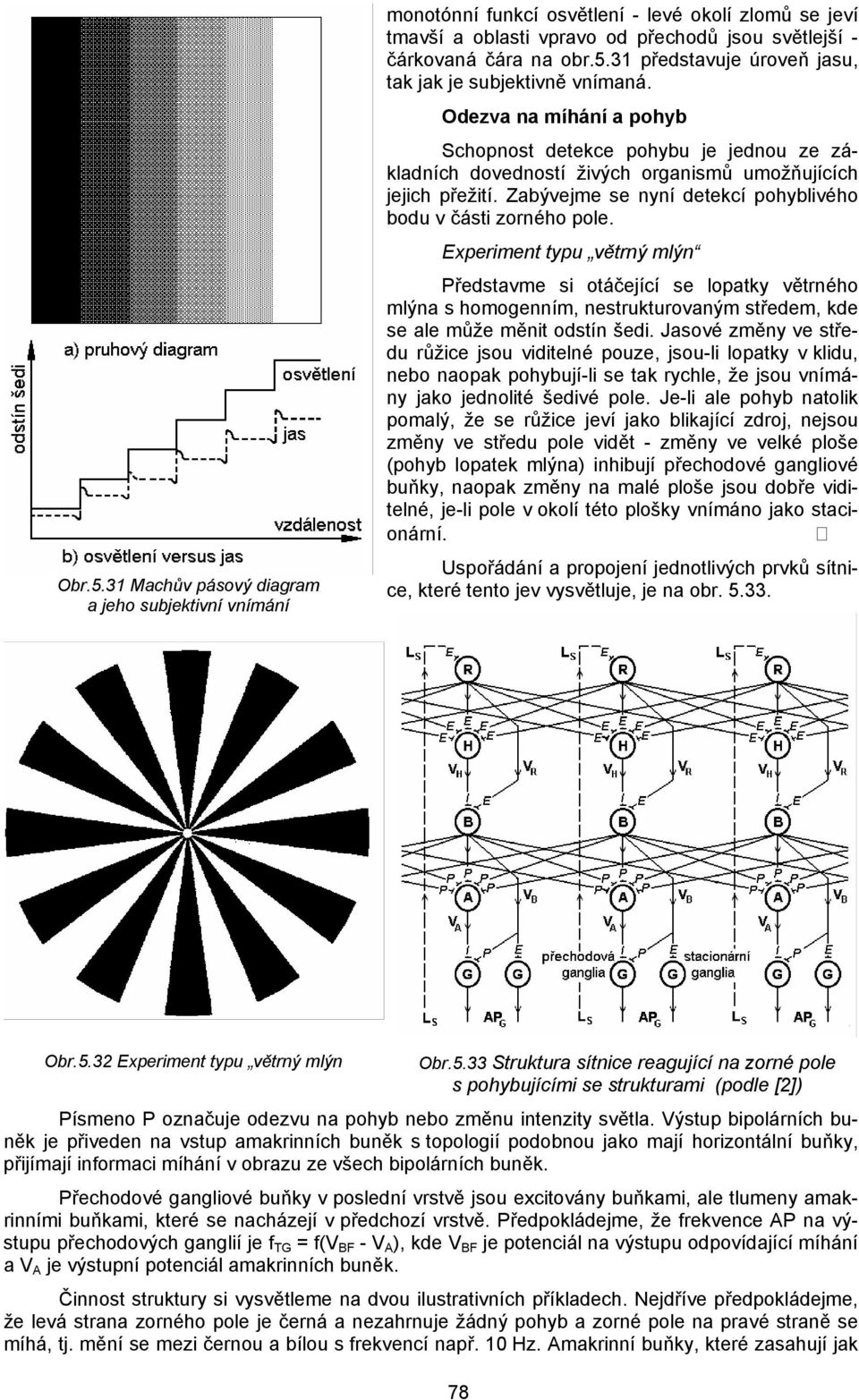 Experiment typu větrný mlýn Představme si otáčející se lopatky větrného mlýna s homogenním, nestrukturovaným středem, kde se ale může měnit odstín šedi.