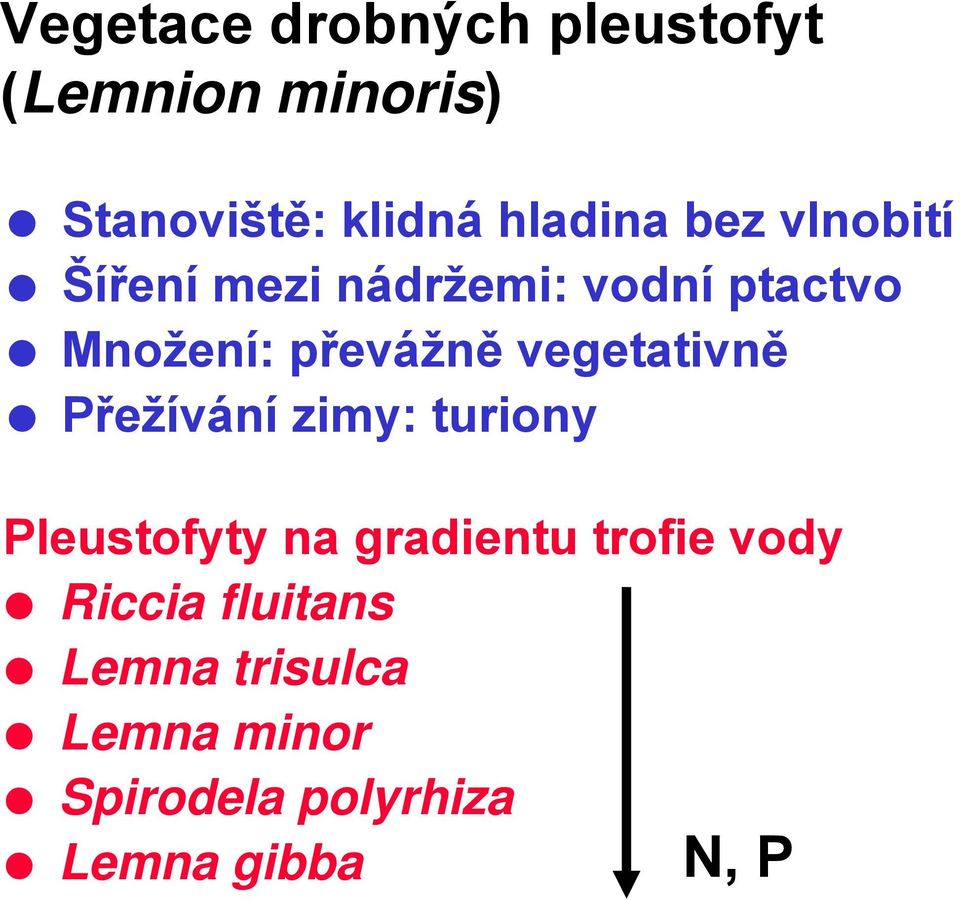 vegetativně Přežívání zimy: turiony Pleustofyty na gradientu trofie vody