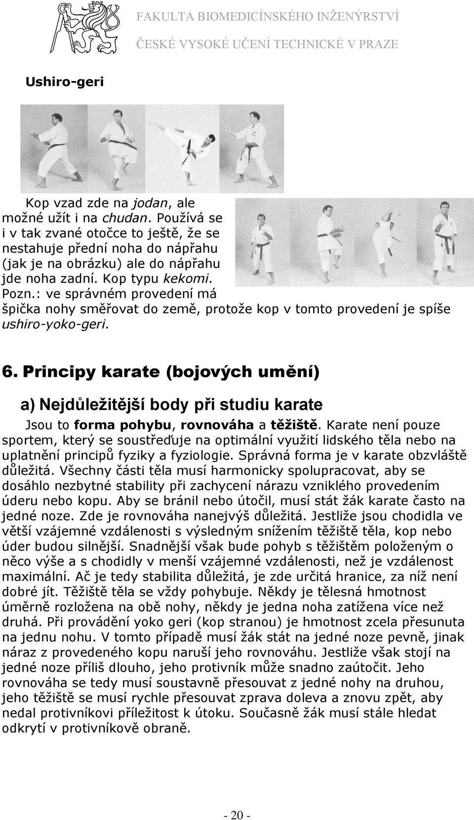 Principy karate (bojových umění) a) Nejdůležitější body při studiu karate Jsou to forma pohybu, rovnováha a těžiště.