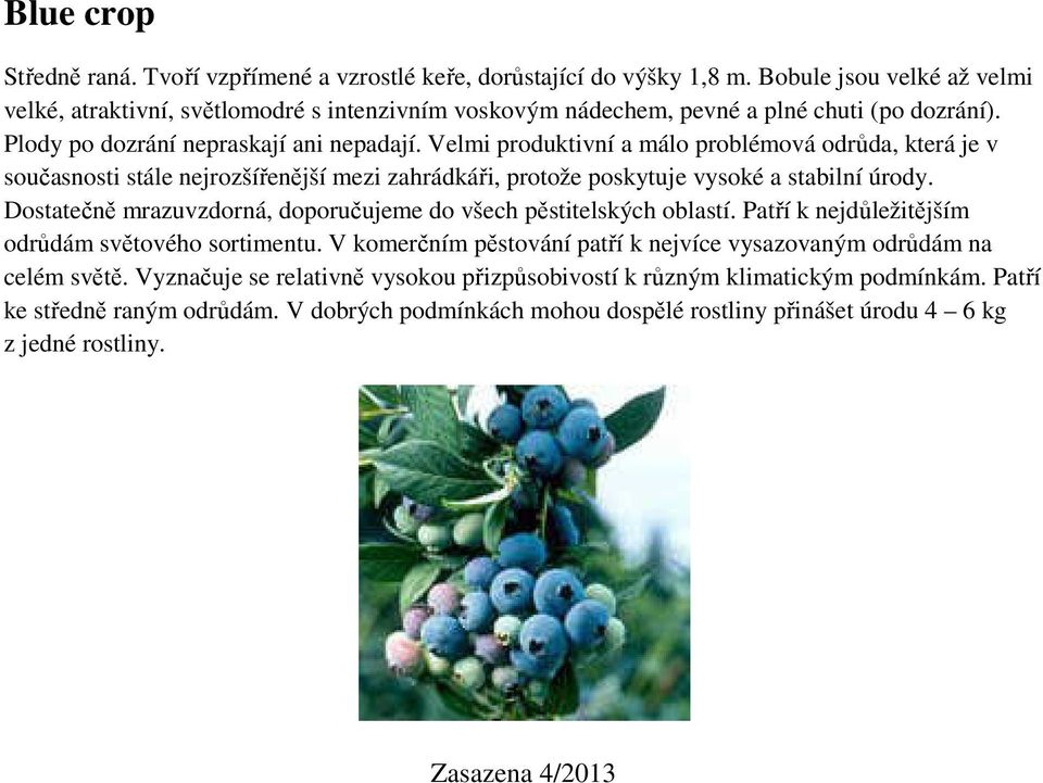 Velmi produktivní a málo problémová odrůda, která je v současnosti stále nejrozšířenější mezi zahrádkáři, protože poskytuje vysoké a stabilní úrody.