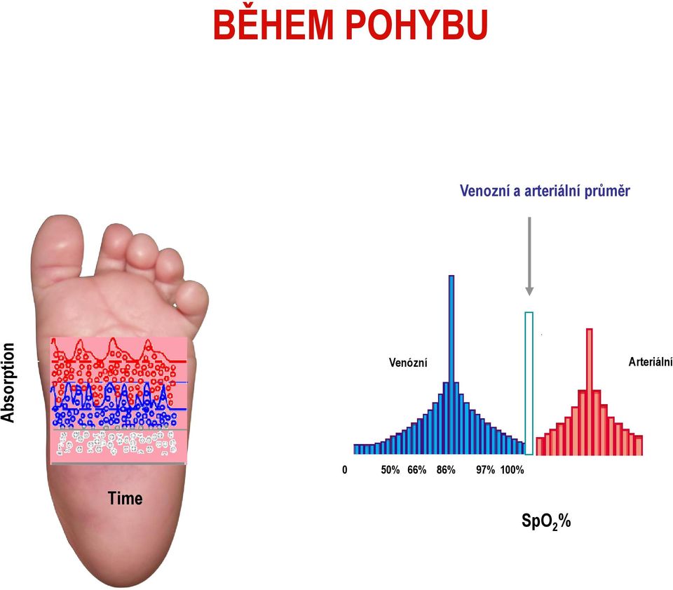 průměr Venózní Arteriální