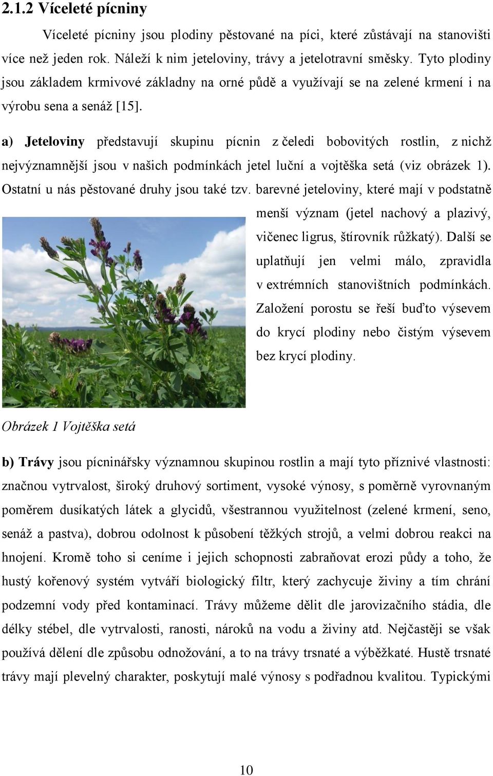 a) Jeteloviny představují skupinu pícnin z čeledi bobovitých rostlin, z nichž nejvýznamnější jsou v našich podmínkách jetel luční a vojtěška setá (viz obrázek 1).