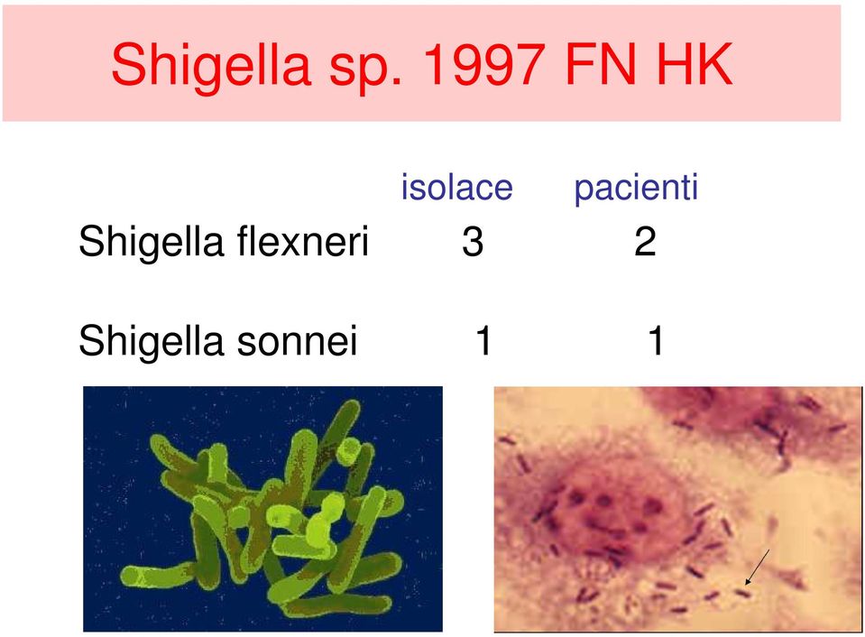 pacienti Shigella