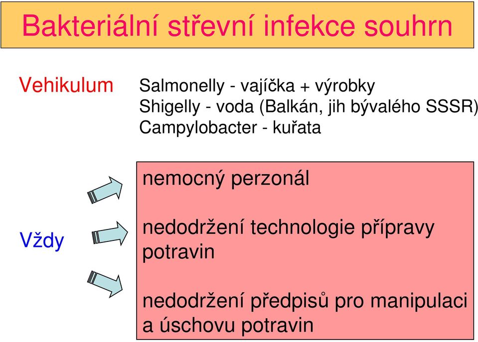 Campylobacter - kuřata nemocný perzonál Vždy nedodržení