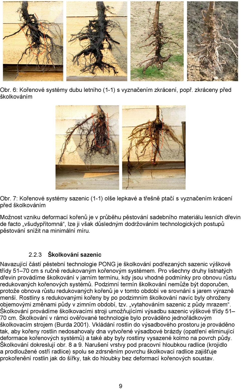 všudypřítomná, lze ji však důsledným dodržováním technologických postupů pěstování snížit na minimální míru. 2.