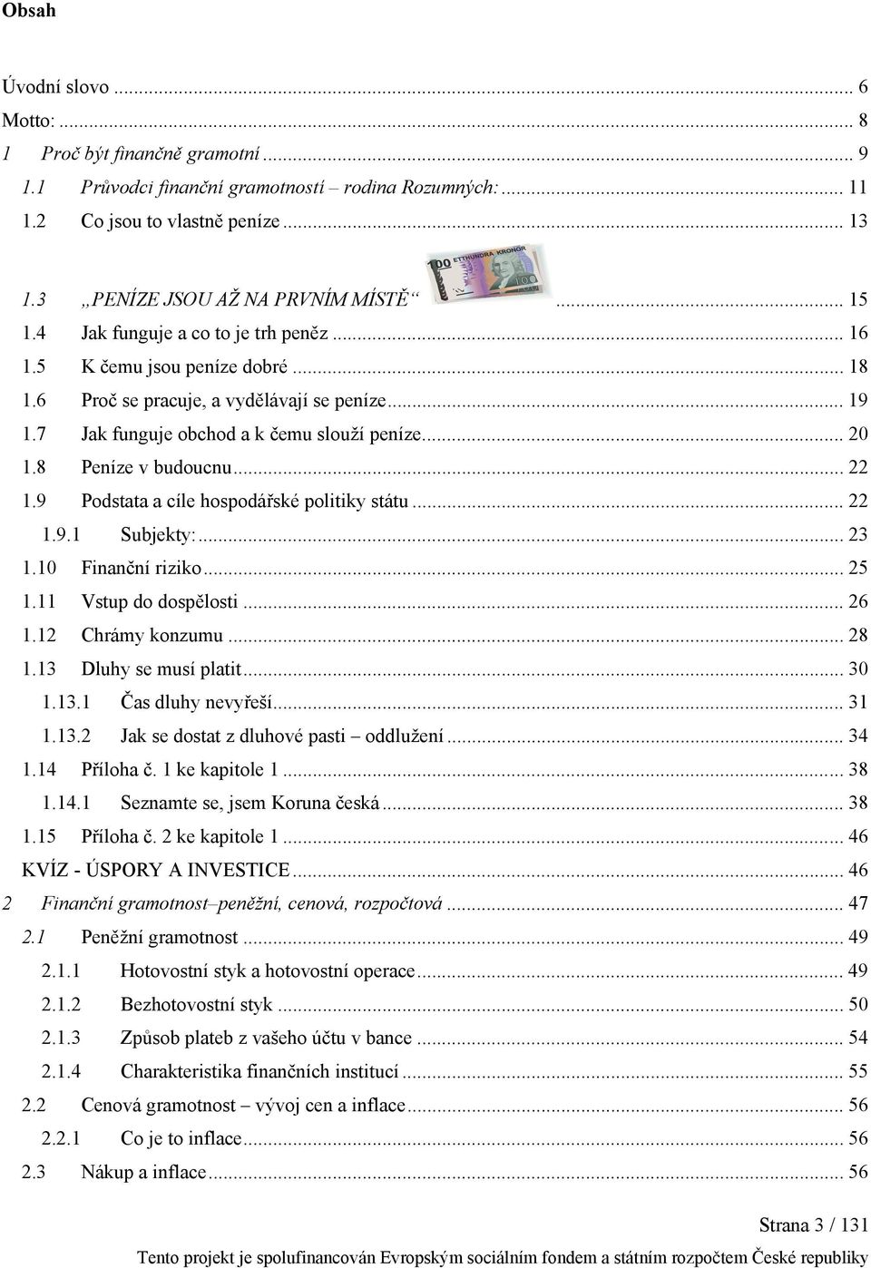 8 Peníze v budoucnu... 22 1.9 Podstata a cíle hospodářské politiky státu... 22 1.9.1 Subjekty:... 23 1.10 Finanční riziko... 25 1.11 Vstup do dospělosti... 26 1.12 Chrámy konzumu... 28 1.