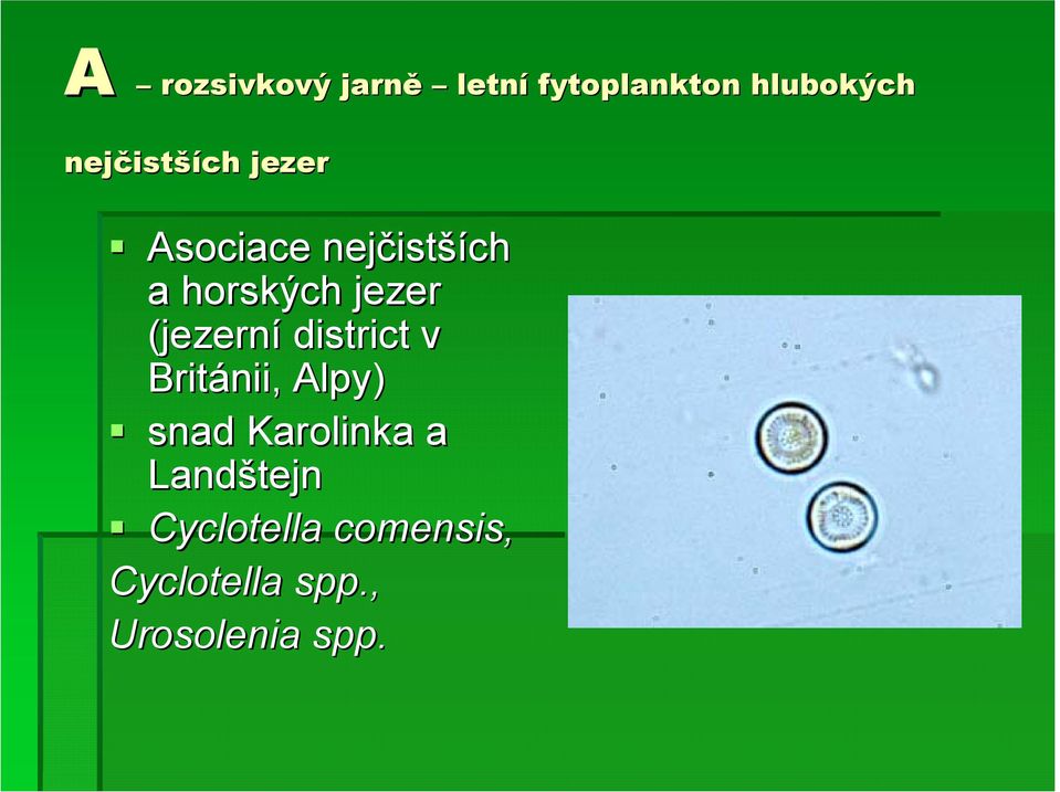 Asociace nejčist istších a horských jezer (jezerní