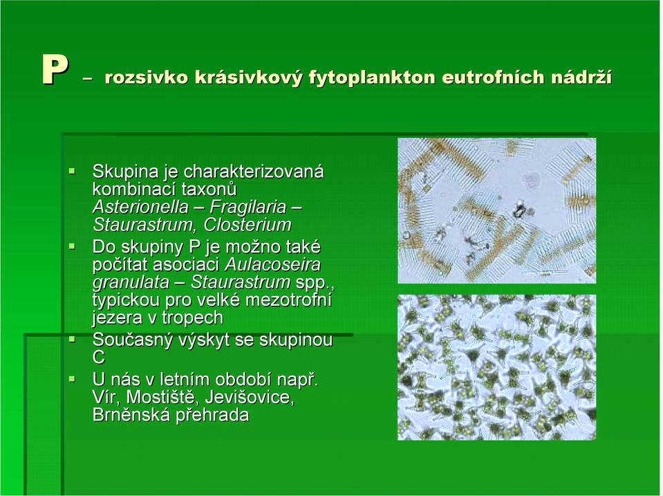 Do skupiny P je možno také počítat asociaci Aulacoseira granulata Staurastrum spp.