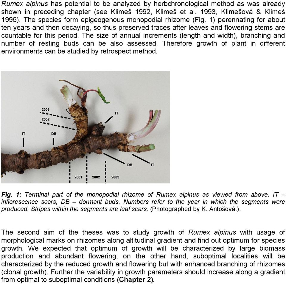 The size of annual increments (length and width), branching and number of resting buds can be also assessed. Therefore growth of plant in different environments can be studied by retrospect method.