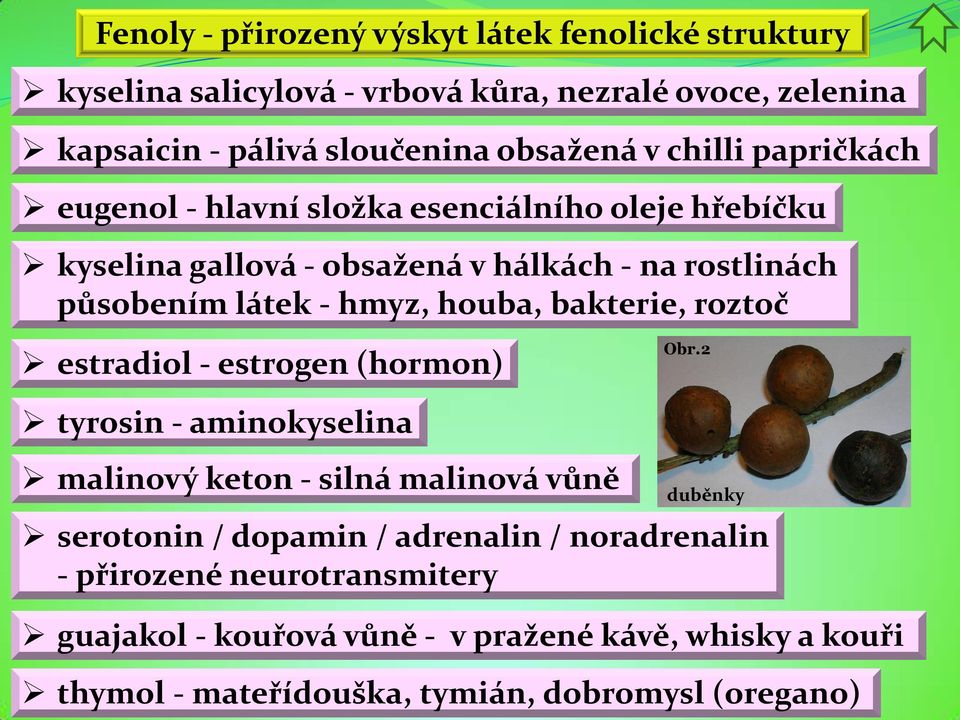 houba, bakterie, roztoč estradiol - estrogen (hormon) Obr.