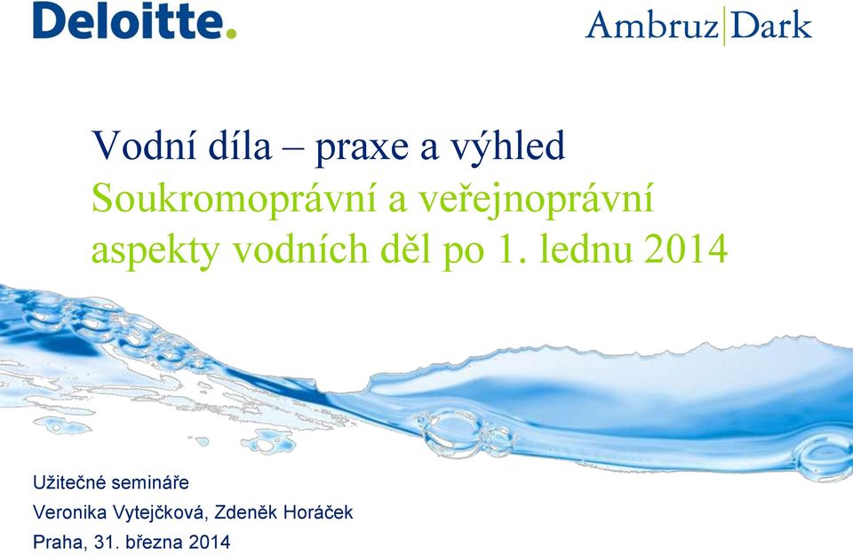 lednu 2014 Užitečné semináře Veronika