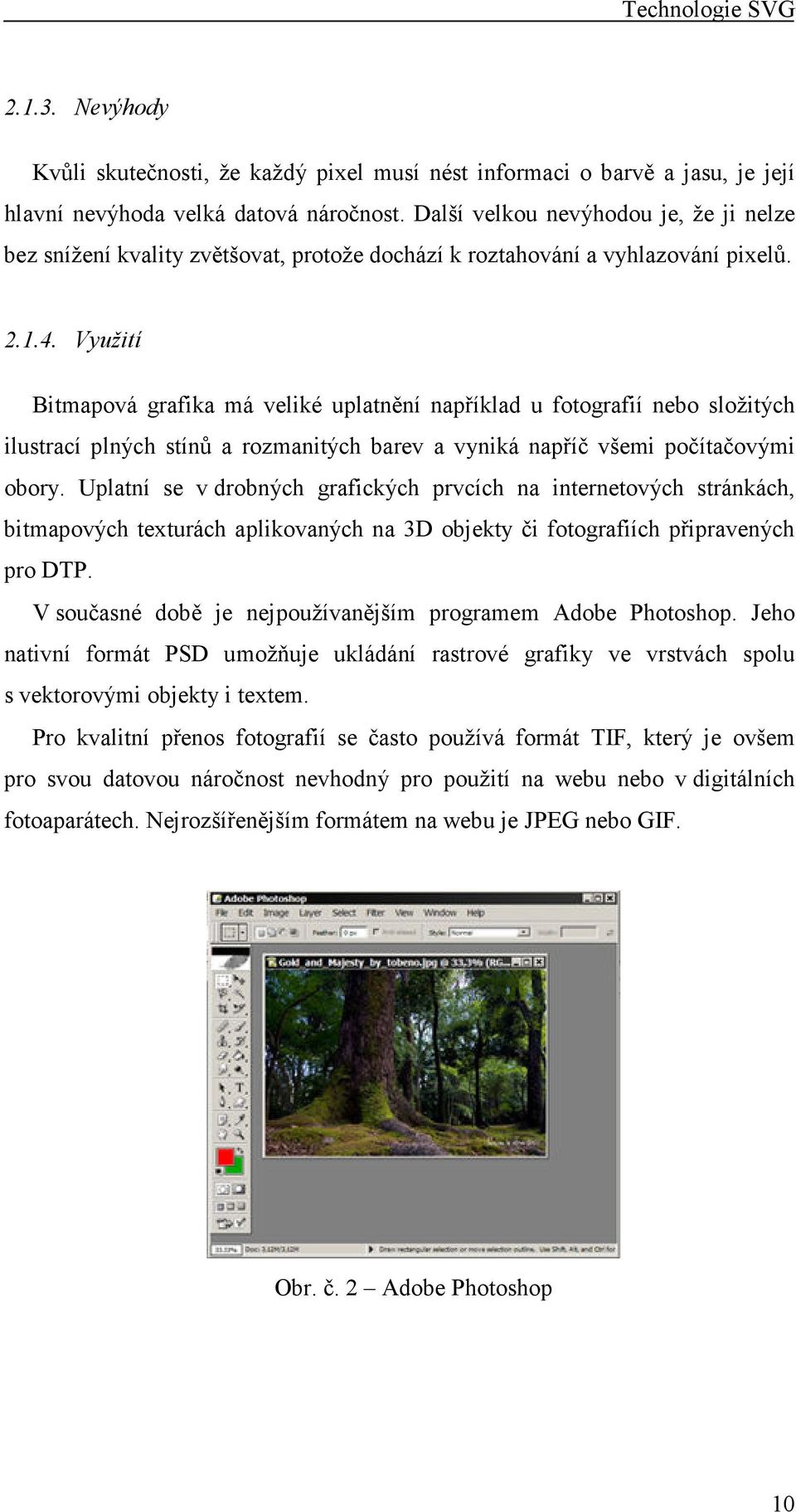 Využití Bitmapová grafika má veliké uplatnění například u fotografií nebo složitých ilustrací plných stínů a rozmanitých barev a vyniká napříč všemi počítačovými obory.