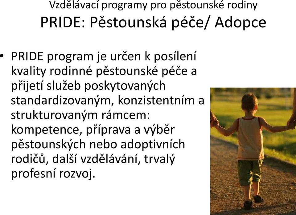 poskytovaných standardizovaným, konzistentním a strukturovaným rámcem: kompetence,