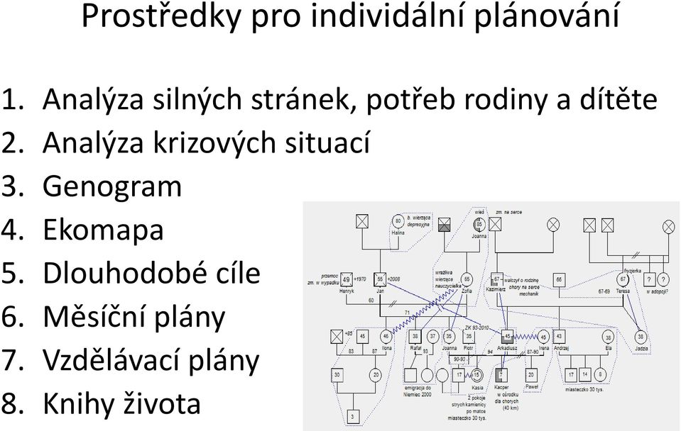 Analýza krizových situací 3. Genogram 4. Ekomapa 5.