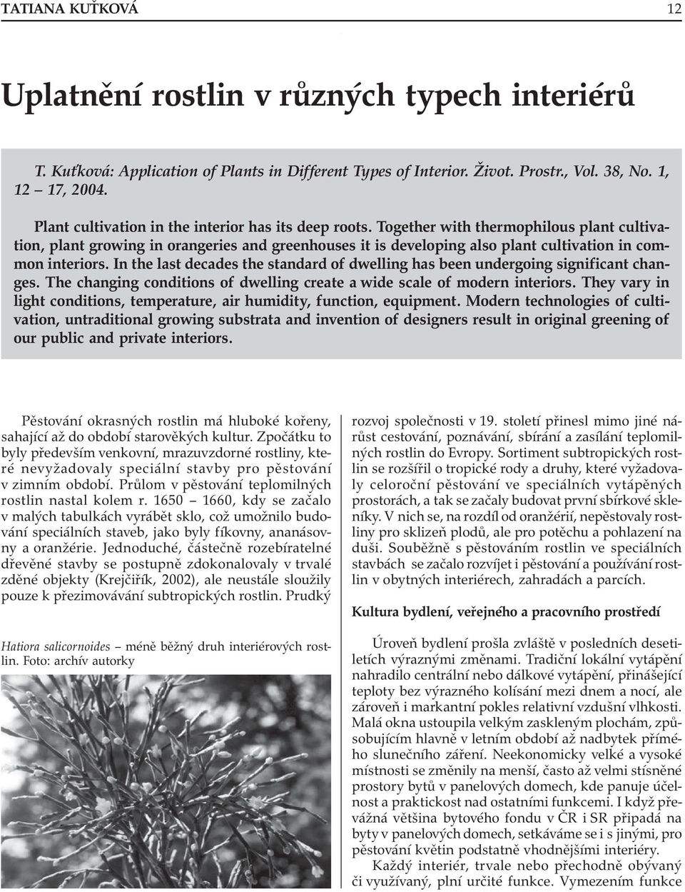 Together with thermophilous plant cultivation, plant growing in orangeries and greenhouses it is developing also plant cultivation in common interiors.