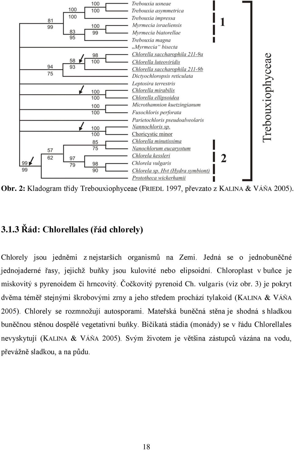 3) je pokryt dvěma téměř stejnými škrobovými zrny a jeho středem prochází tylakoid (KALINA VÁŇA 2005). Chlorely se rozmnožují autosporami.