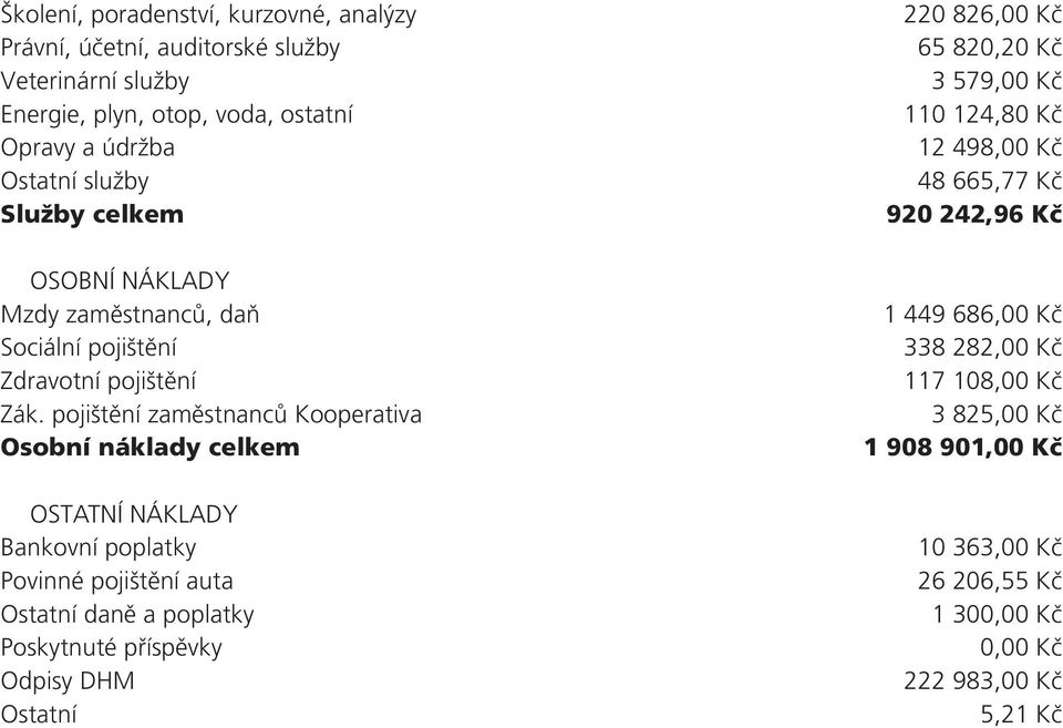 pojištění zaměstnanců Kooperativa Osobní náklady celkem OSTATNÍ NÁKLADY Bankovní poplatky Povinné pojištění auta Ostatní daně a poplatky Poskytnuté příspěvky Odpisy