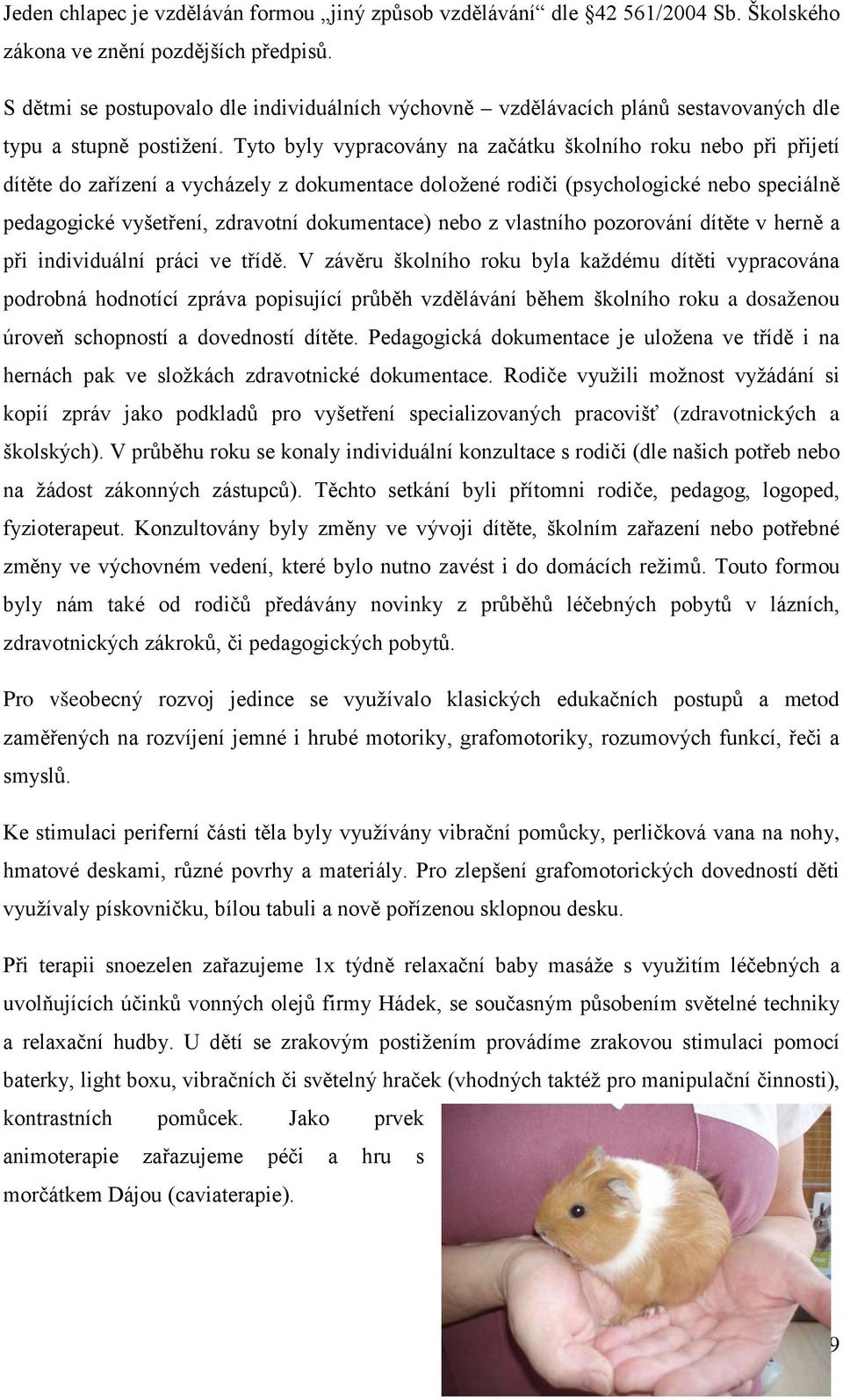 Tyto byly vypracovány na začátku školního roku nebo při přijetí dítěte do zařízení a vycházely z dokumentace doložené rodiči (psychologické nebo speciálně pedagogické vyšetření, zdravotní