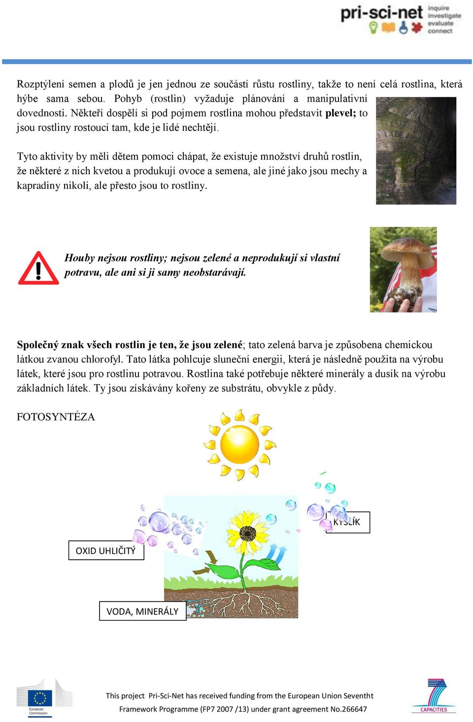 Tyto aktivity by měli dětem pomoci chápat, že existuje množství druhů rostlin, že některé z nich kvetou a produkují ovoce a semena, ale jiné jako jsou mechy a kapradiny nikoli, ale přesto jsou to