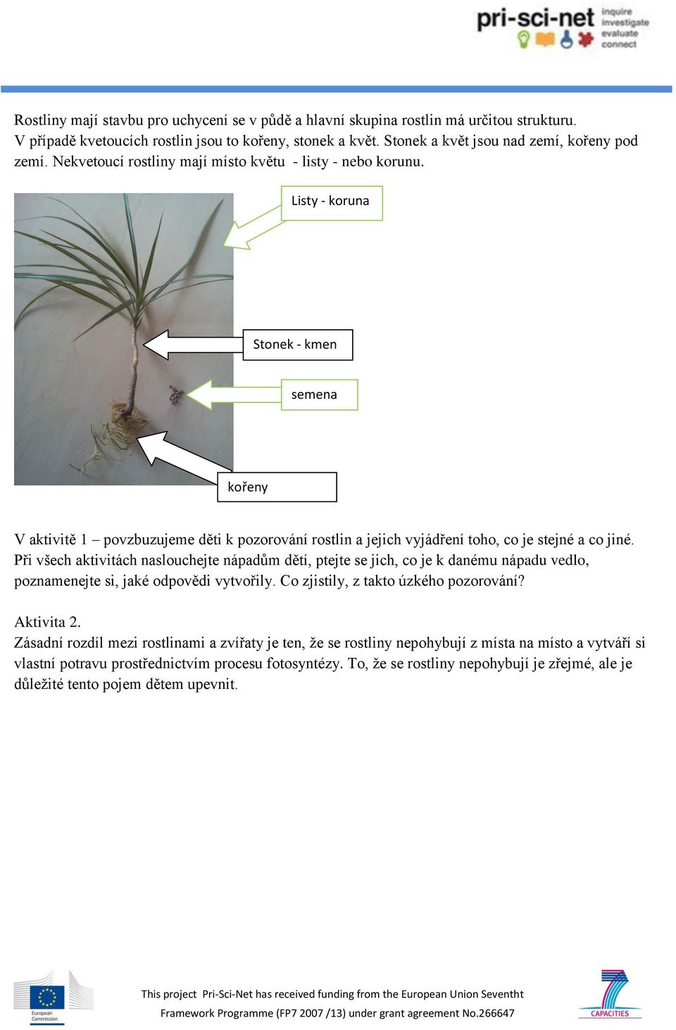 Listy - koruna Stonek - kmen semena kořeny V aktivitě 1 povzbuzujeme děti k pozorování rostlin a jejich vyjádření toho, co je stejné a co jiné.