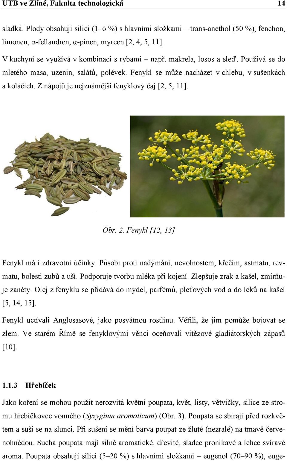 Z nápojů je nejznámější fenyklový čaj [2, 5, 11]. Obr. 2. Fenykl [12, 13] Fenykl má i zdravotní účinky. Působí proti nadýmání, nevolnostem, křečím, astmatu, revmatu, bolesti zubů a uší.