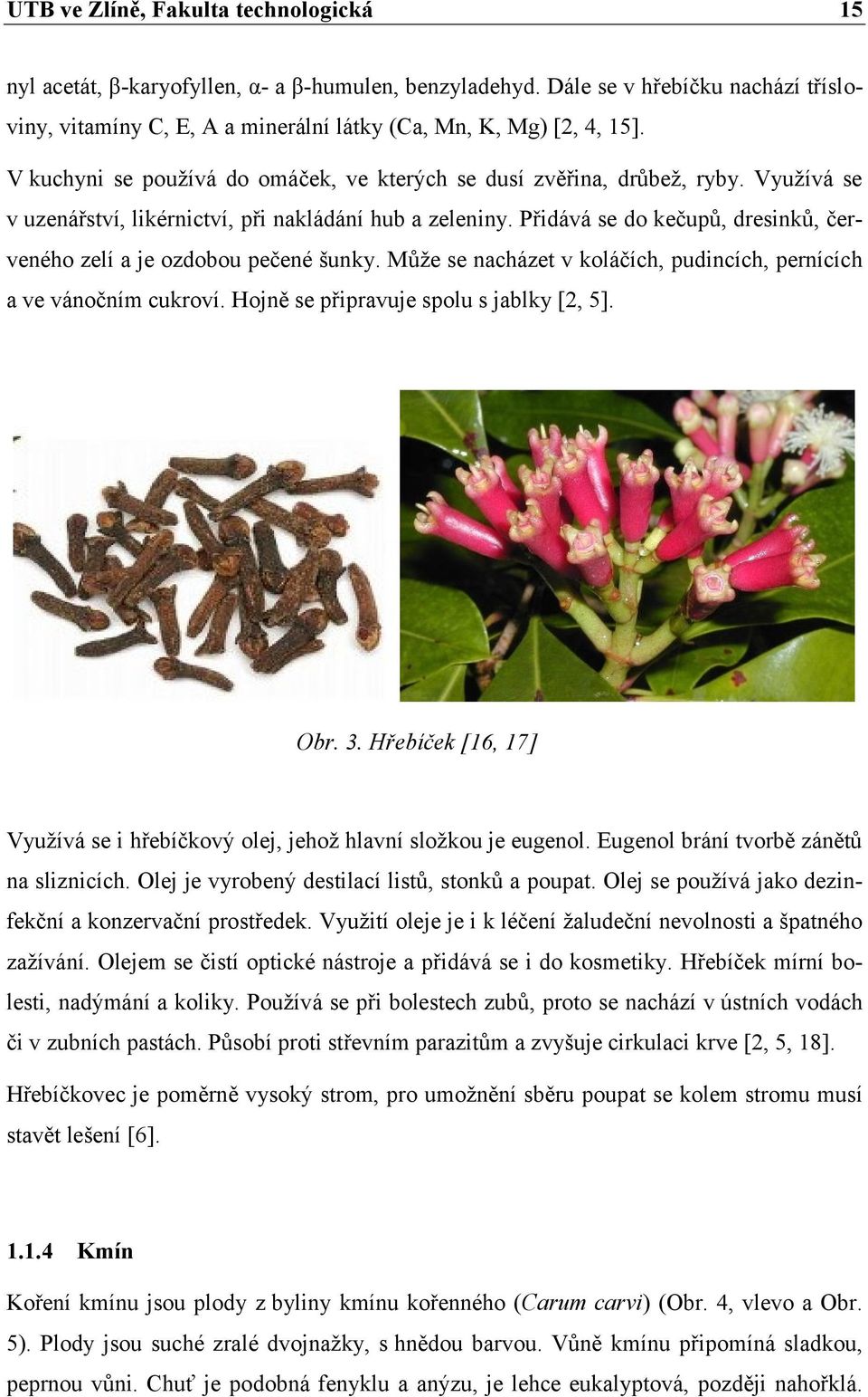 Přidává se do kečupů, dresinků, červeného zelí a je ozdobou pečené šunky. Může se nacházet v koláčích, pudincích, pernících a ve vánočním cukroví. Hojně se připravuje spolu s jablky [2, 5]. Obr. 3.