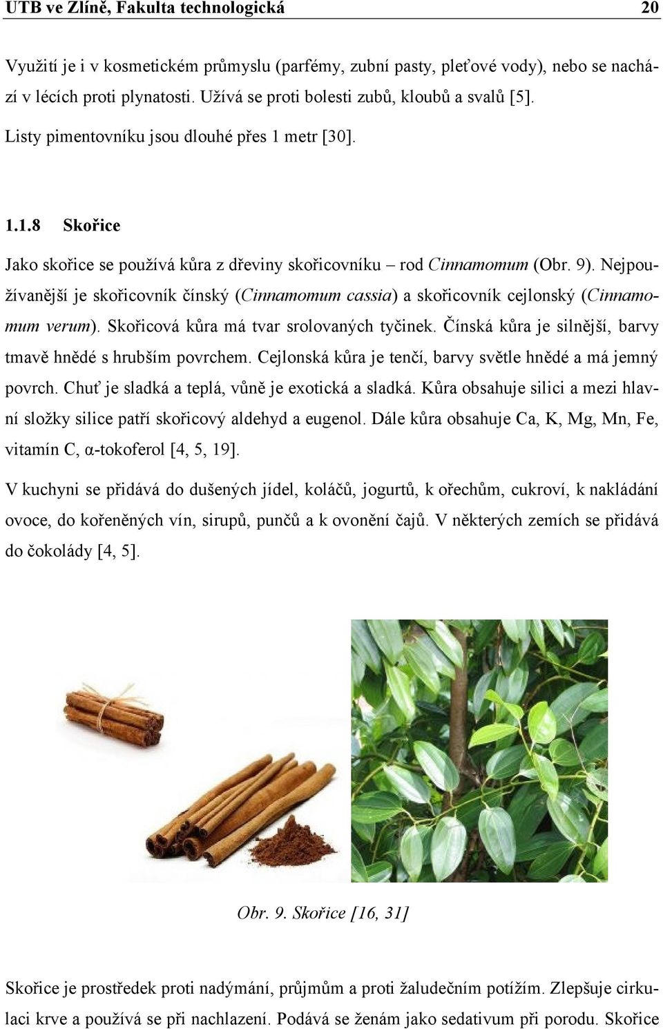 Nejpoužívanější je skořicovník čínský (Cinnamomum cassia) a skořicovník cejlonský (Cinnamomum verum). Skořicová kůra má tvar srolovaných tyčinek.