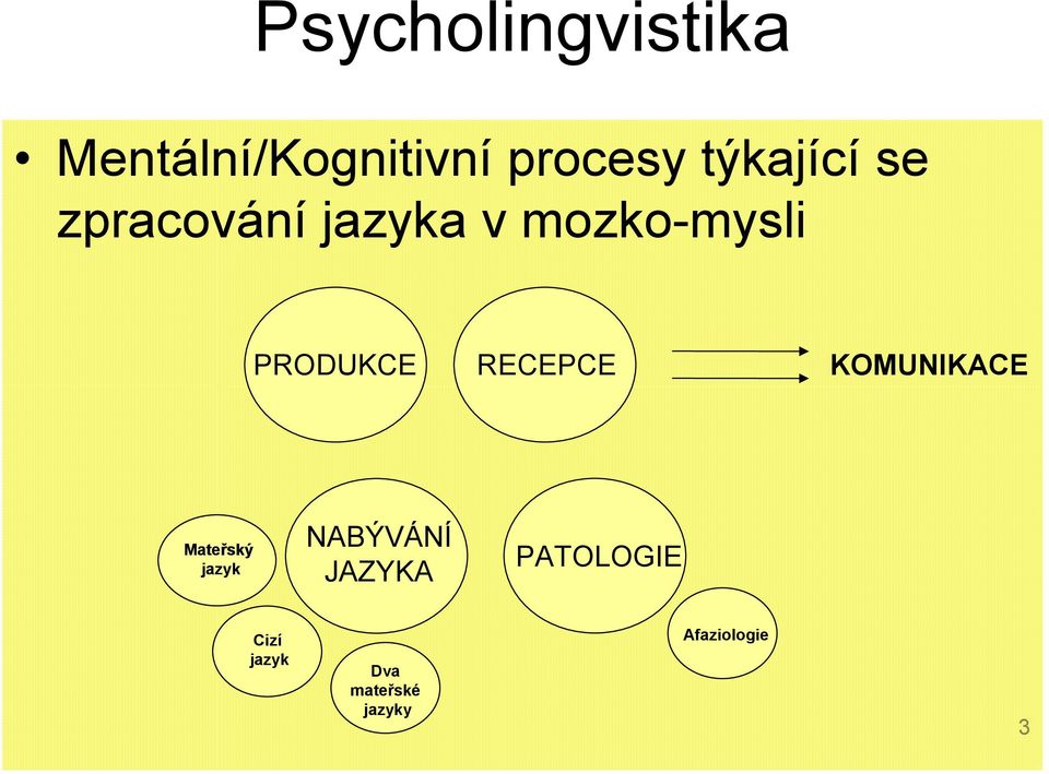 PRODUKCE RECEPCE KOMUNIKACE Mateřský jazyk