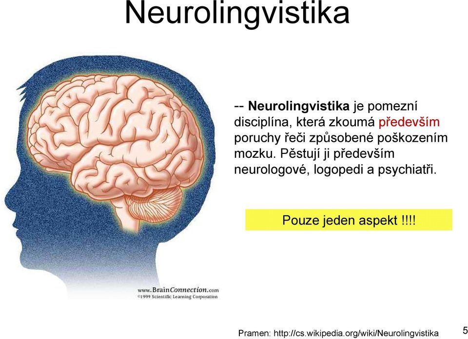 Pěstují ji především neurologové, logopedi a psychiatři.