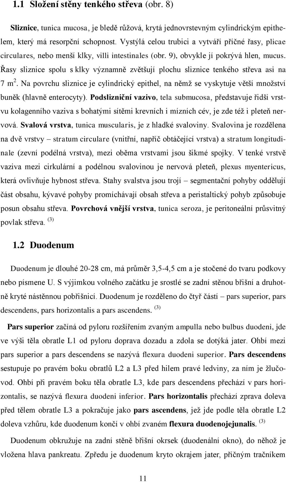 Řasy sliznice spolu s klky významně zvětšují plochu sliznice tenkého střeva asi na 7 m 2. Na povrchu sliznice je cylindrický epithel, na němž se vyskytuje větší množství buněk (hlavně enterocyty).