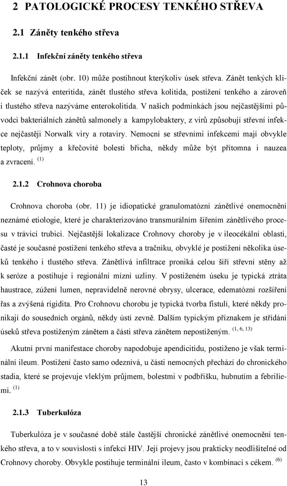 V našich podmínkách jsou nejčastějšími původci bakteriálních zánětů salmonely a kampylobaktery, z virů způsobují střevní infekce nejčastěji Norwalk viry a rotaviry.