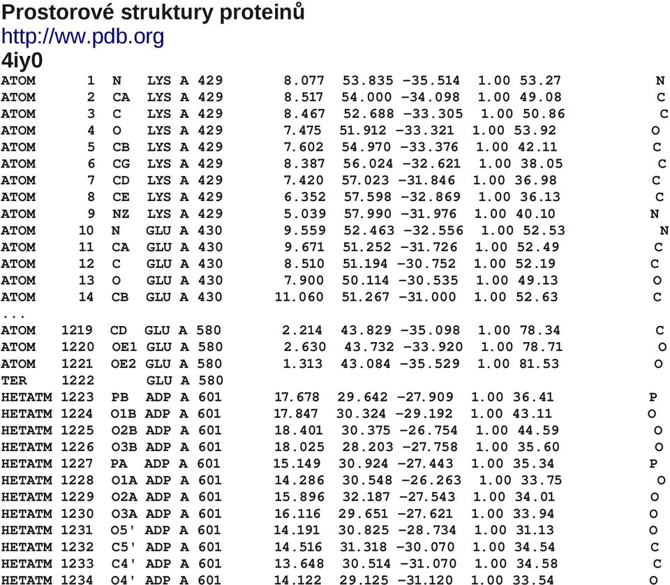 023 31.846 1.00 36.98 C ATOM 8 CE LYS A 429 6.352 57.598 32.869 1.00 36.13 C ATOM 9 NZ LYS A 429 5.039 57.990 31.976 1.00 40.10 N ATOM 10 N GLU A 430 9.559 52.463 32.556 1.00 52.