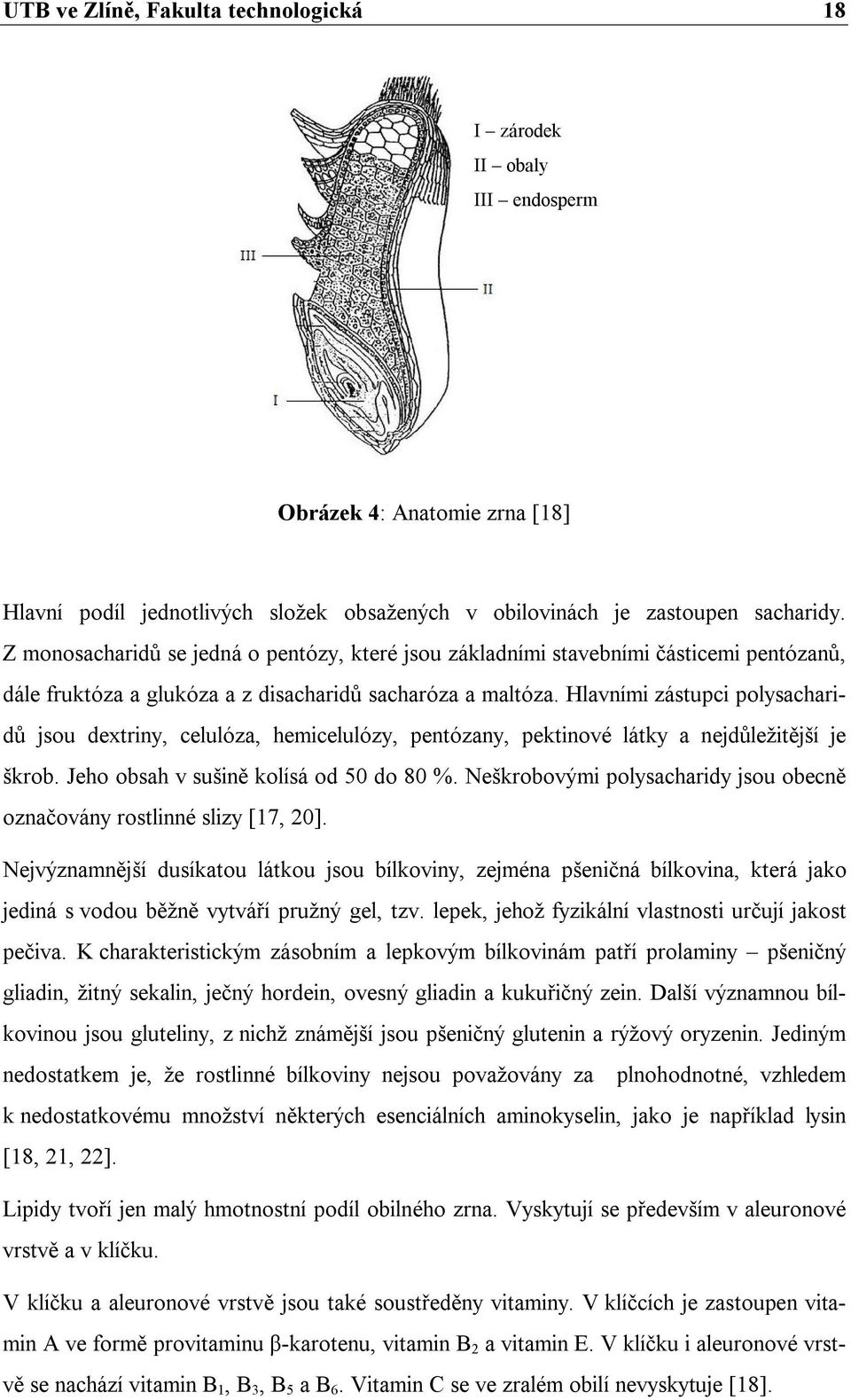 Hlavními zástupci polysacharidů jsou dextriny, celulóza, hemicelulózy, pentózany, pektinové látky a nejdůležitější je škrob. Jeho obsah v sušině kolísá od 50 do 80 %.