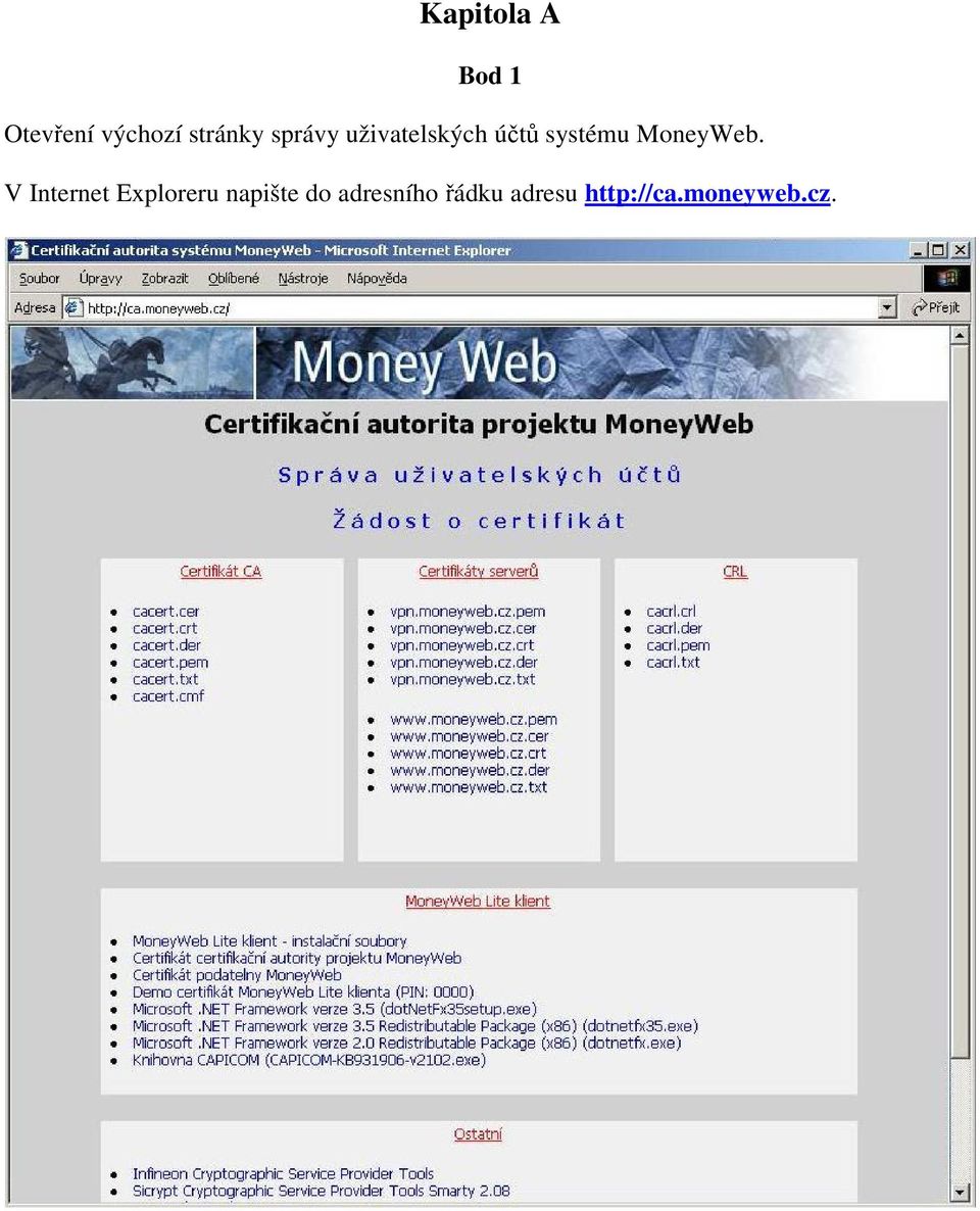 systému MoneyWeb.