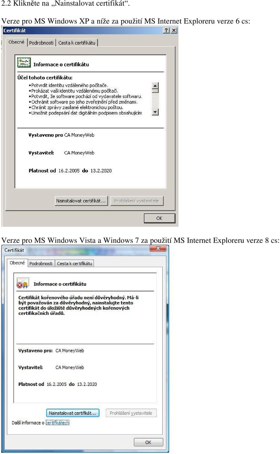 Internet Exploreru verze 6 cs: Verze pro MS